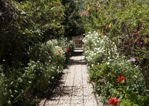 Our favourite things to do in Pisac