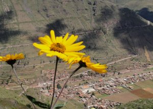 Pisac The Sacred Valley's Hidden Gem