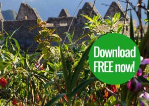 Machu Picchu guide free download